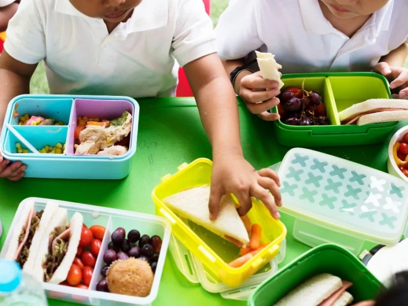 Alimentaçãoo escolar