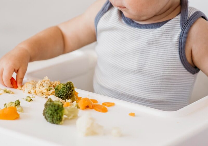 Introdução alimentar