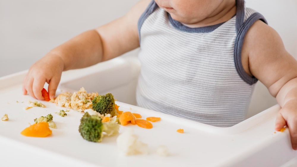Introdução alimentar