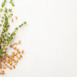 feno-grego organismo