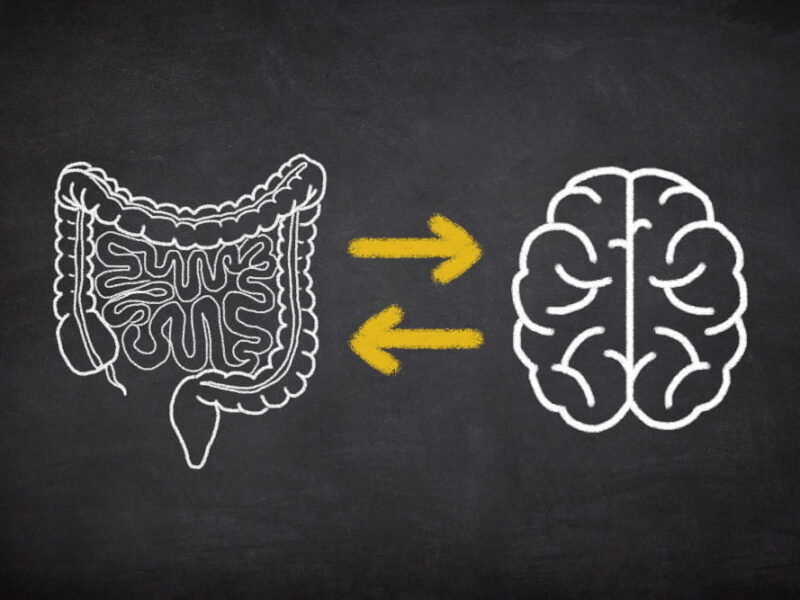 eixo intestino-cérebro
