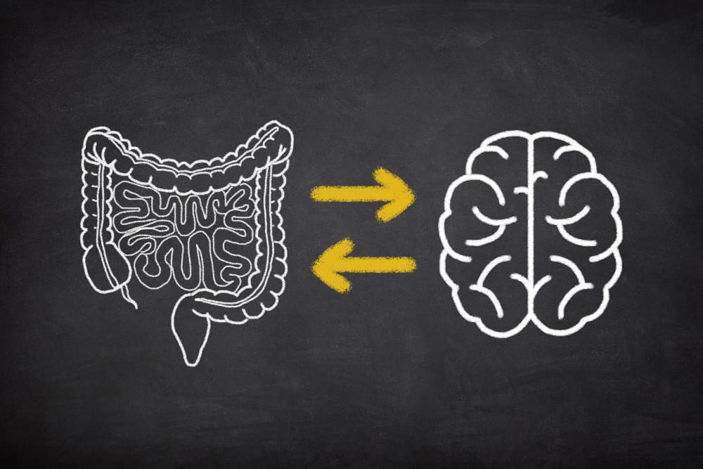 eixo intestino-cérebro
